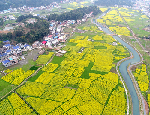 长平乡以河长制实现河长治